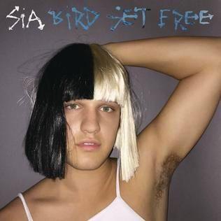 Capa do álbum "Bird Set Free", de Sia