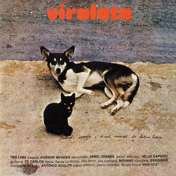 Capa do álbum "Viralata", de Antônio Adolfo