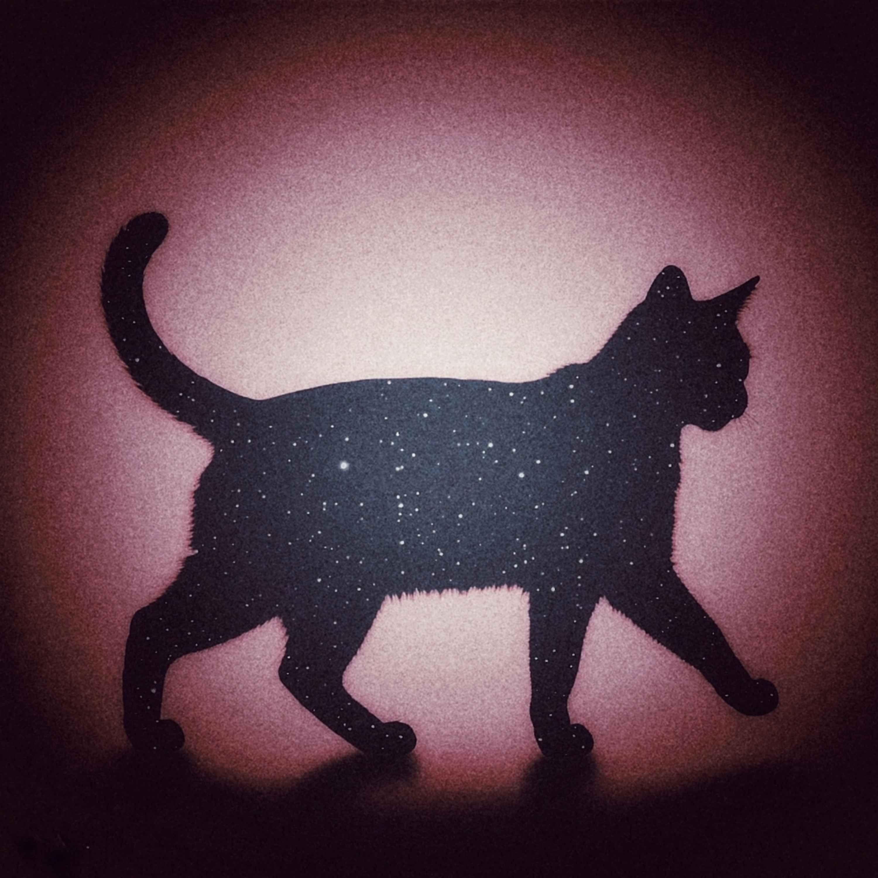 Portada de Álbum "the finer spirit", de Joel Trapp