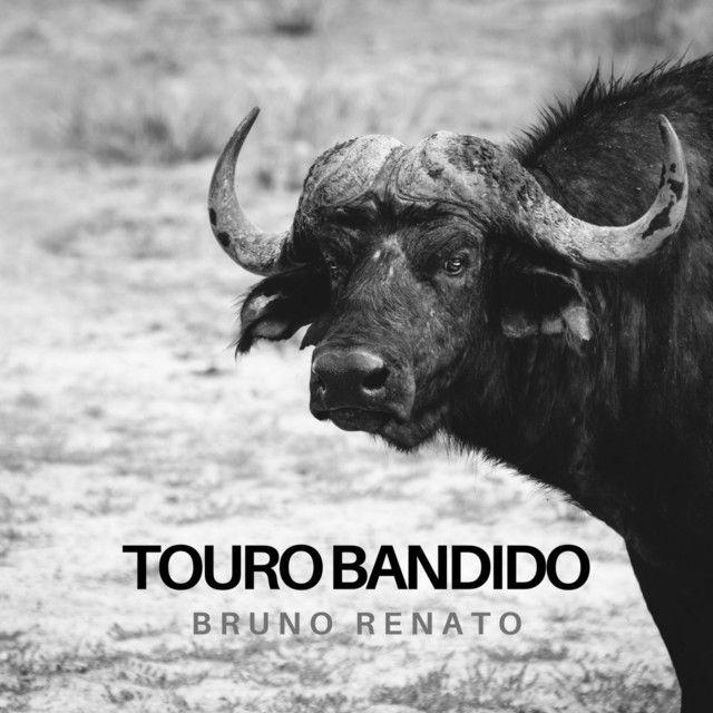 Portada del álbum "Touro Bandido", de Bruno Renato
