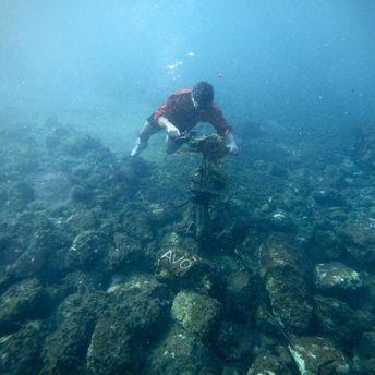 Portada de Sencillo/EP "Avò", de Marco Castello