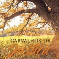 Single/EP cover of "Carvalhos de Justiça " by Banda Universos