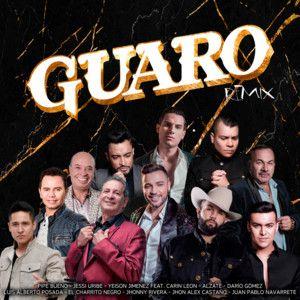 Portada del álbum "Guaro (remix)", de Yeison Jimenez