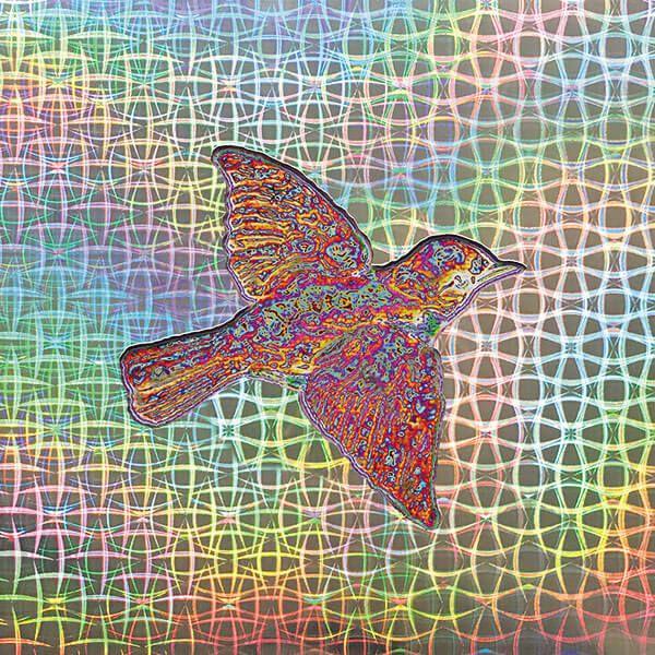 Capa do Álbum "'Til The Medicine Takes", de Widespread Panic