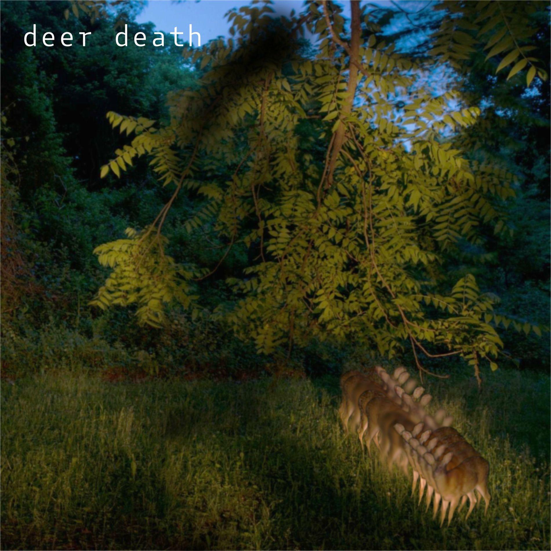 Portada del álbum "fractured", de deer death