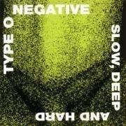 Capa do Álbum "Slow, Deep And Hard", de Type O Negative