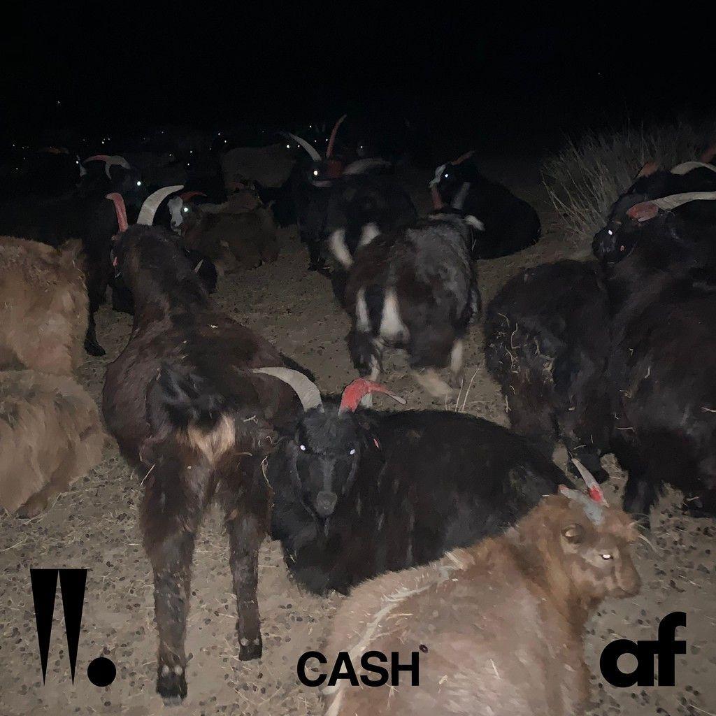 Capa do Single/EP "Cash", de Woo Won Jae