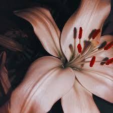 Capa do Single/EP "Sad Sex", de Angie