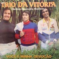 Portada de Álbum "Você É Minha Devoção - Vol. 13", de Trio da Vitória