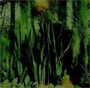 Portada de Álbum "Wood/Water", de The Promise Ring