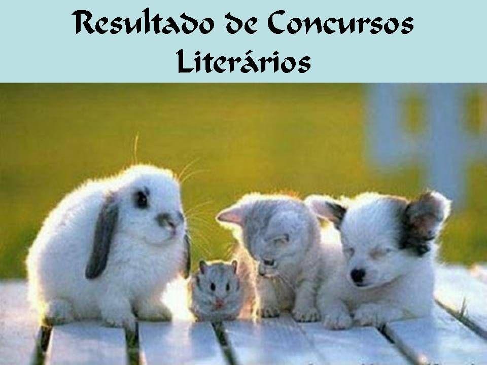 Album cover of " O Trovador de Cristo - 02" by Osias Ferreira