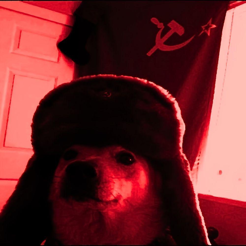 Portada del álbum "Ushanka", de TheJoia