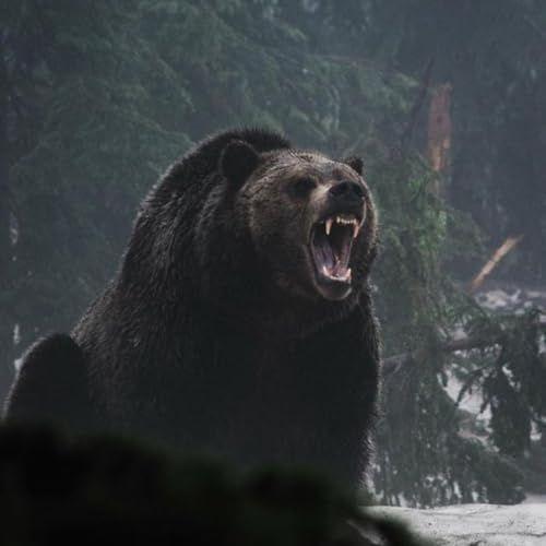 Capa do Single/EP "Griselda Freestyle (part. L.A)", de F3nrir RR