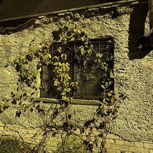 Portada de Sencillo/EP "need 2", de woodpecc