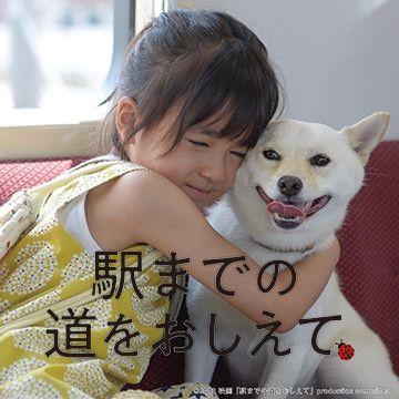 Portada de Sencillo/EP "Koko", de Kotringo