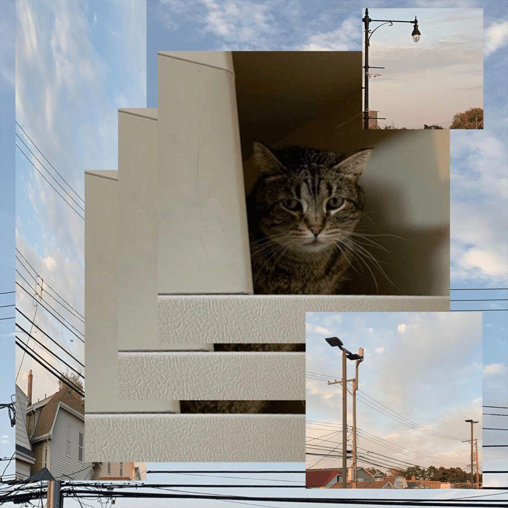 Capa do álbum "Speckles", de Jades