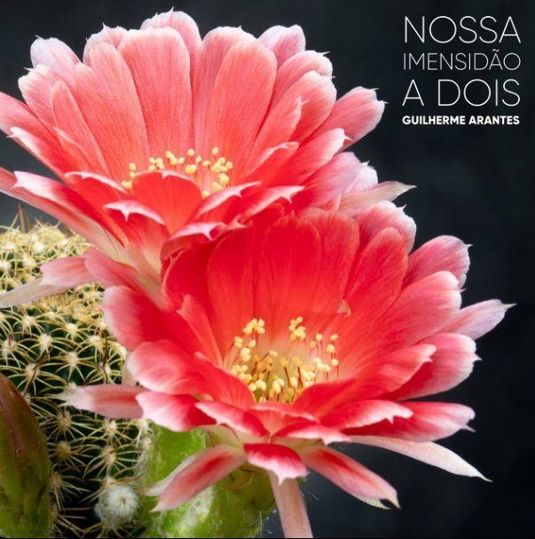 Portada del álbum "Nossa Imensidão a Dois", de Guilherme Arantes