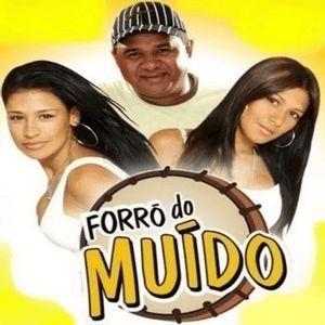Capa do Álbum "Vol. 3 (Ao Vivo No Forró No Sítio)", de Forró do Muído