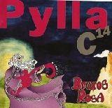 Portada de Álbum "Bruxos Rosa", de Pylla
