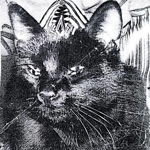 Portada de Álbum "Strange Chalices Of Seeing", de Weyes Blood