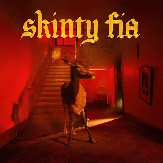 Portada de Álbum "Skinty Fia", de Fontaines D.C.