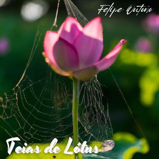 Portada de Álbum "Teias de Lotus", de Felipe Outono