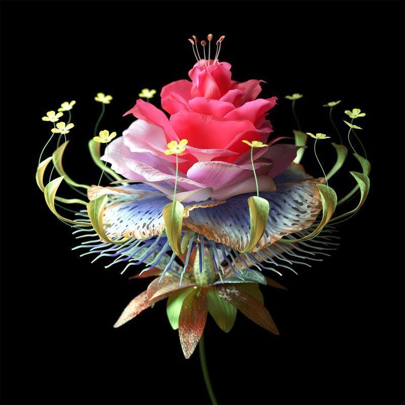 Portada de Sencillo/EP "Super Natural (feat. Carly Rae Jepsen)", de Danny L Harle