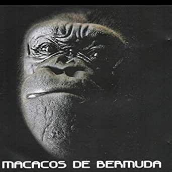 Album cover of "Te Esqueci" by Macacos de Bermudas
