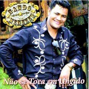 Album cover of "Não SeToca Em Unjido" by Nando Menezes