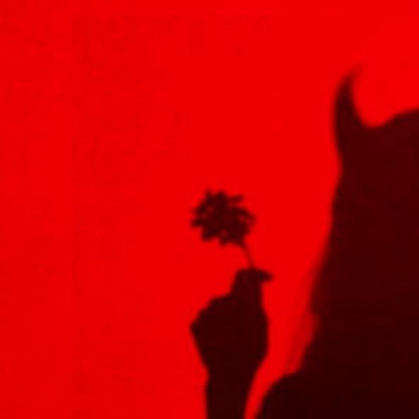 Portada de Sencillo/EP "A MÚSICA PROIBIDA", de Dri.mp3