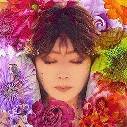 Portada de Álbum "Fixer", de Akina Nakamori