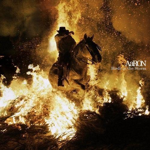 Portada de Álbum "Birds In The Storm", de Aaron