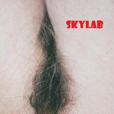Album cover of "Skylab EP" by Rogério Skylab