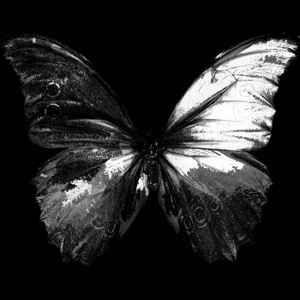 Portada de Sencillo/EP "The Patient Demos", de Blacklit Canopy