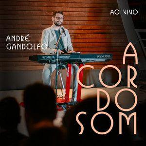 Portada de Álbum "A Cor do Som (Ao Vivo)", de André Gandolfo