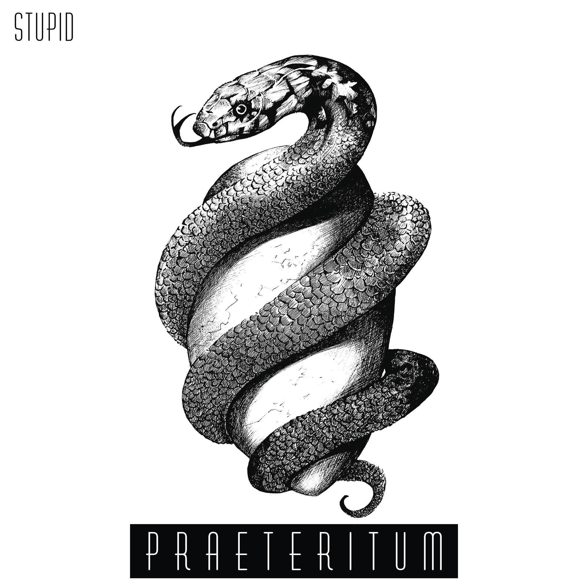 Portada de Sencillo/EP "Praeteritum", de Stupid