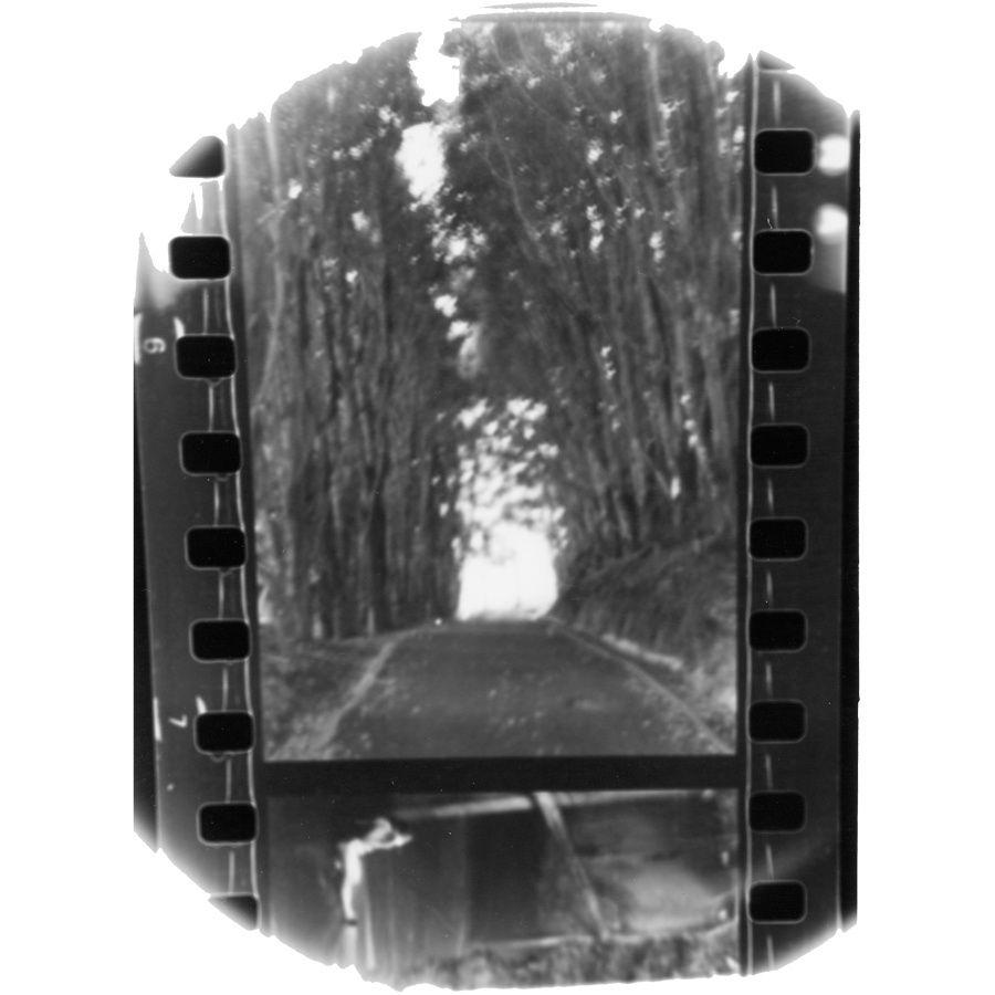 Capa do Álbum "Winter Forever", de Seahaven