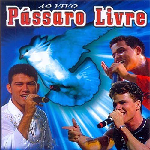 Album cover of "Tocando em Seu Coração (Ao Vivo)" by Pássaro Livre