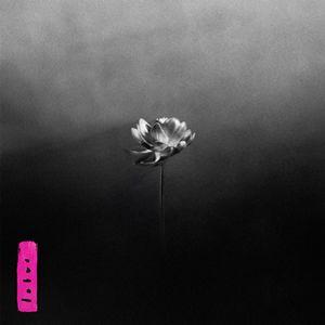 Capa do álbum "Lotus", de Little Simz