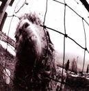 Capa do álbum "Vs.", de Pearl Jam