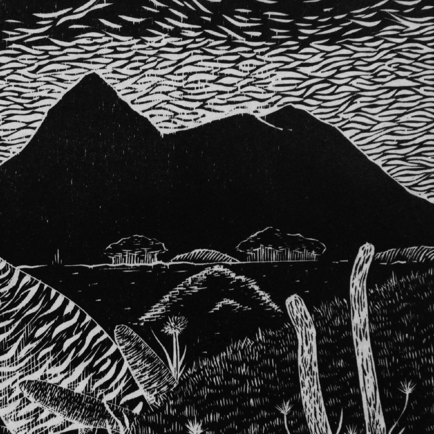 Portada de Álbum "Mountain Tops", de Câmera