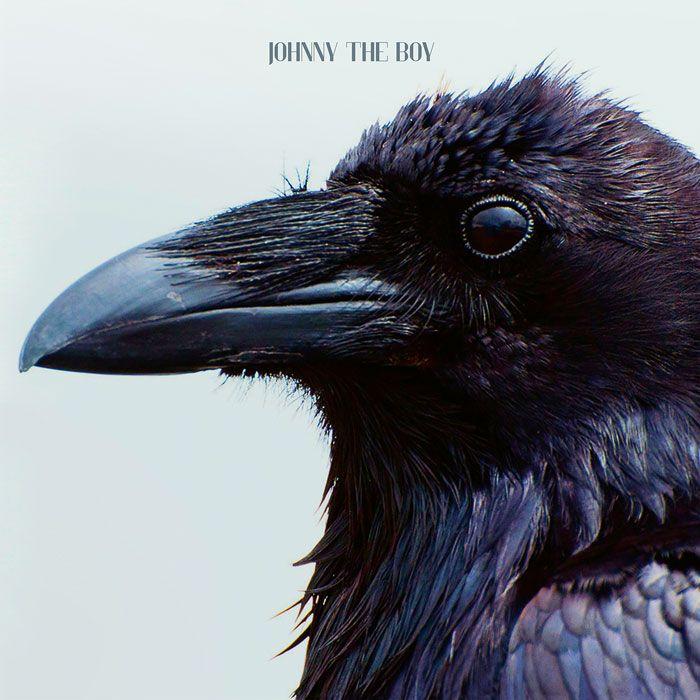 Portada de Álbum "You", de Johnny The Boy