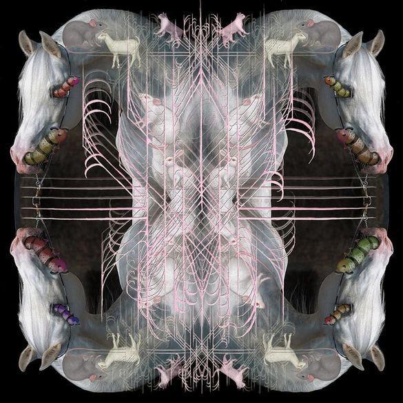 Capa do Álbum "RIP Chrysalis", de Eartheater