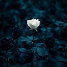 Portada de Álbum "Dying To Be Different", de VOUS Worship