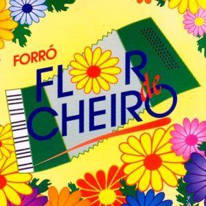 Portada de Álbum "Volume 01", de Flor de Cheiro