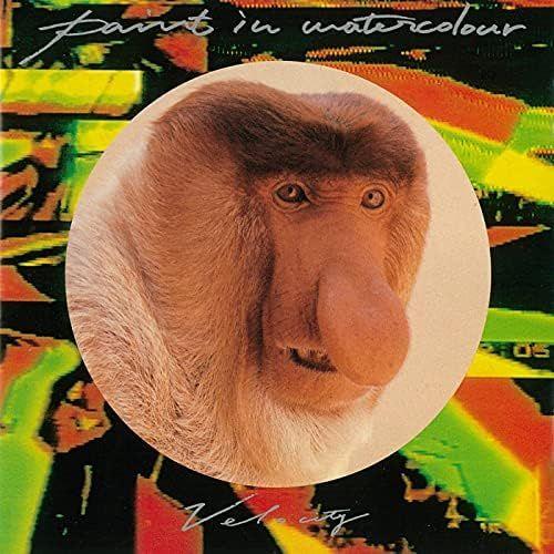 Portada de Álbum "Velocity", de Paint In Watercolour