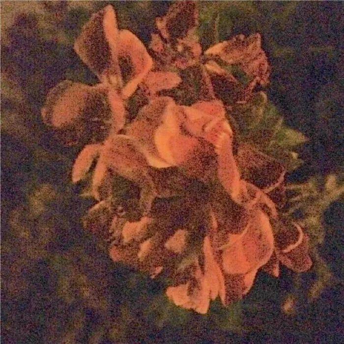 Portada de Sencillo/EP "Repeating", de Affectionately