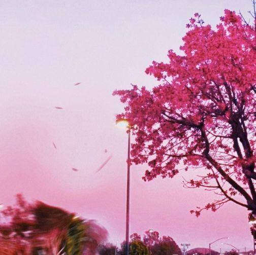 Album cover of "Please" by Evan Pak