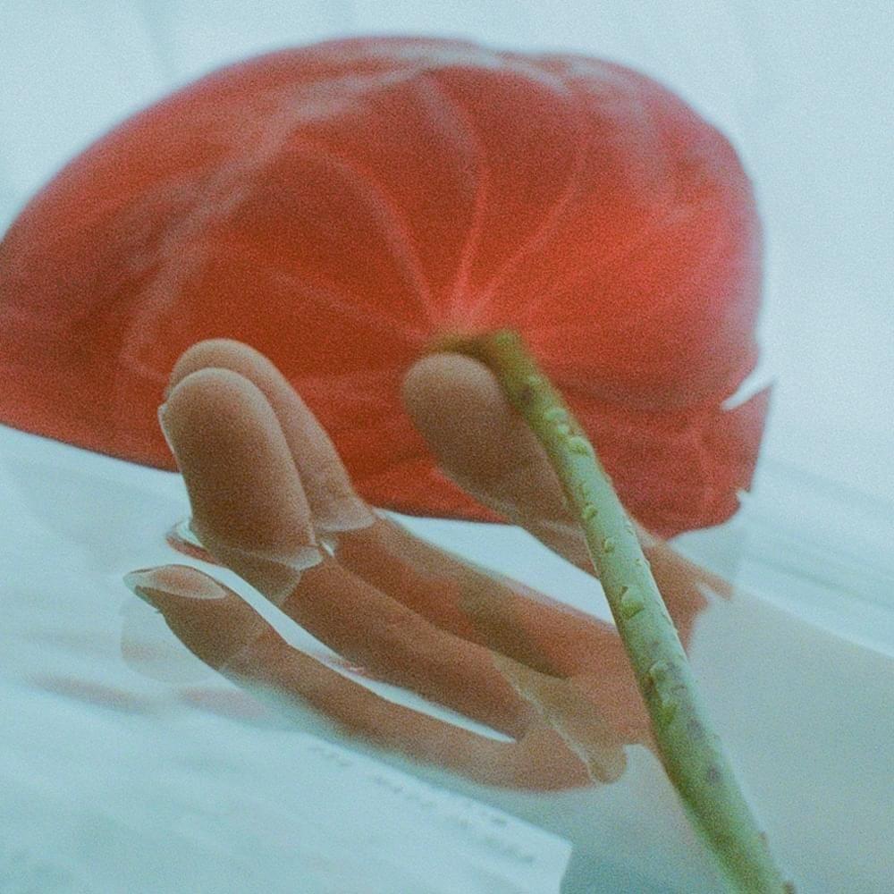 Capa do Single/EP "SHALLOW (PPL SWIM IN SHALLOW WATER)", de Saya Gray