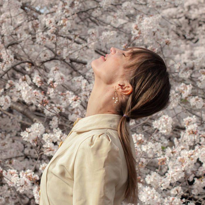 Capa do álbum "Spring Songs On The Fly", de Elizaveta